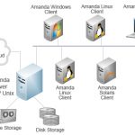 chart-amanda-network-no-brd