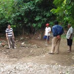 Pohon Jambu di Lokasi Pusdiklat-Taman Bacaan
